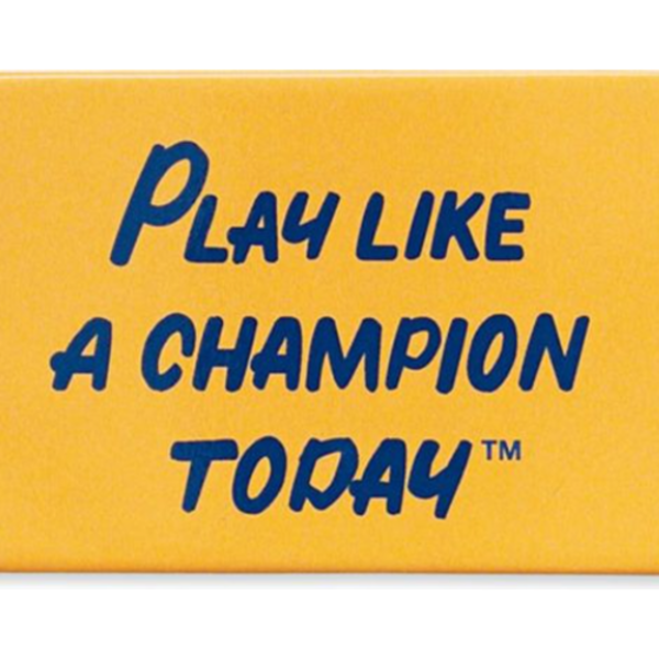 Play Like A Champion Magnet